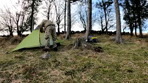 Dartmoor wildcamping timelapses March 2022 part 10