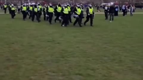 More video from the anti lockdown protest in London yesterday_4