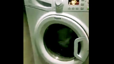 Washing machine Repairing