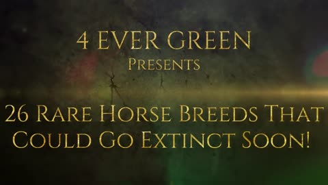 26 Rare Horse Breeds That Could Go Extinct Soon!-6