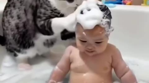 The cat 🐈 make baby shower with soap