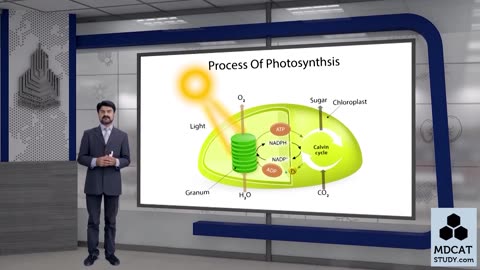 LEC#3 FACTORS AFFECTING ENZYME ACTION