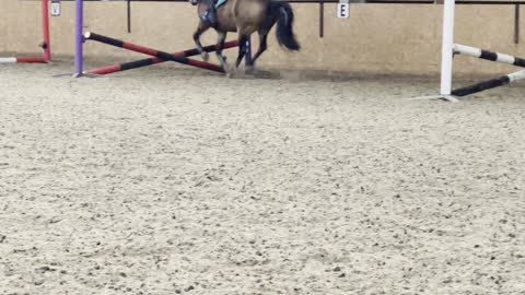 Powerful Farts Propel Pony Over Jumps