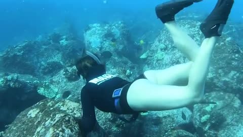 Girls Spearfishing in Hawaii