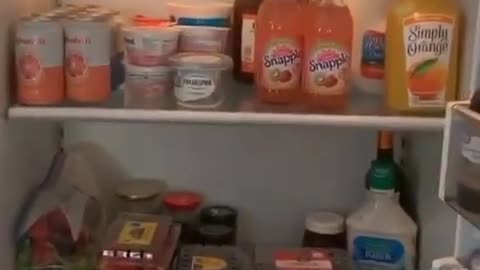 Selena Gomez Fridge & Freezer tour #shorts