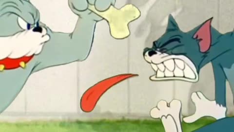 TOM AND JERRY FUNNY VIDEOS