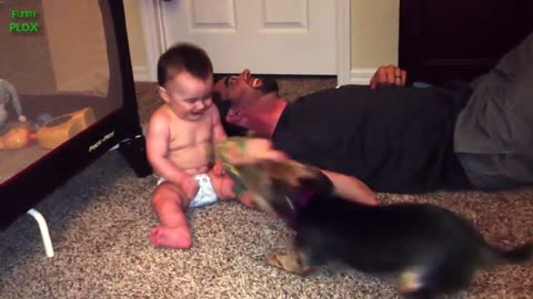 Funny Babies Laughing Hysterically at Dogs Compilation