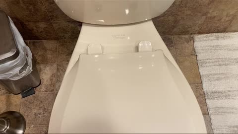 Proper way to clean the toilet seat