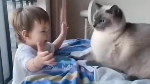 baby and kitten