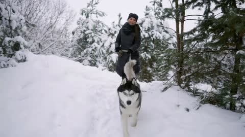 Waist up portrait of happy modern couple playing with cute Husky puppy outdoors in winter