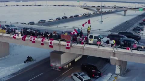 Canadian Truckers - Fighting For Canada and the World