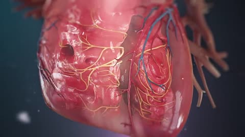 Human Heart Anatomy (3D Medical Animation)