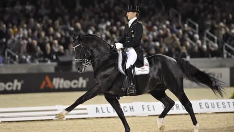 10 Most Expensive Horses Ever Sold In The World