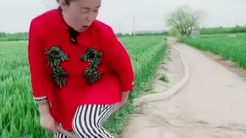 Best Funny Videos 2022, Chinese Funny clips daily #shorts