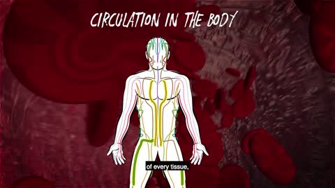 Microcirculation