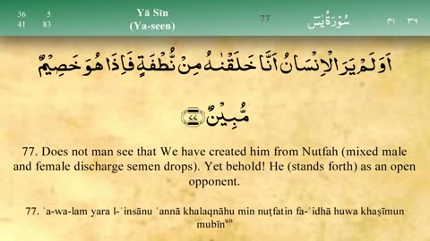 036 Surah Ya Seen by Mishary Al Afasy