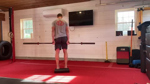 Furey Athletics | Reverse Deadlift