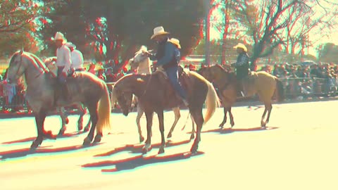 Tucson Rodeo Parade in 3D