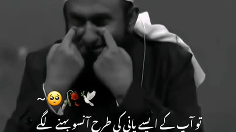 Molana Tariq Jameel status