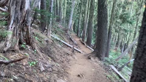 Central Oregon - Mount Jefferson Wilderness - Hiking Through an Old Growth Forest