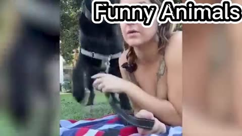 Laugh out Loud: Hilarious Animals Caught on Camera! (Part-1)