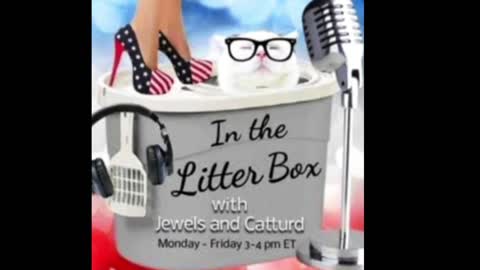 Lock her up! - In the Litter Box w/ Jewels & Catturd 2/14/2022 - Ep. 19