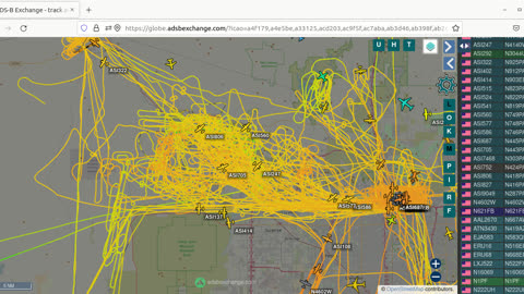 CHINESE MORMONS BIRD MAFIA still BEE gang banging Wittmann AZ airspace