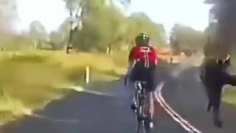 Kangaroo Randomly Jumps Out And Hits Biker | Unforgettable Fails