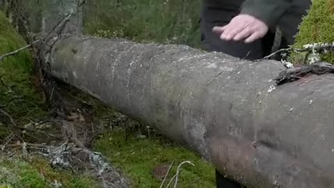 Bushcraft Tripod Shelter - Wild camp