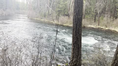 Hiking EPIC Wilderness Trail Along Wild & Scenic Metolius River – Central Oregon – 4K