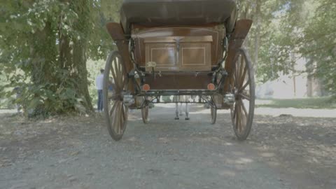 Retro vintage carriage drawn by a horse in the forest