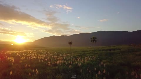 North South Highway Jamaica