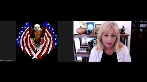 Kerry Cassidy & Patriot Underground- White Hat COG Strategy .