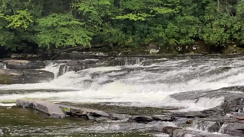 Mullet & Denton Falls (Neversink River Unique Area, New York State)