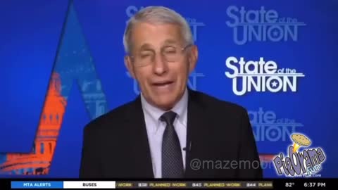 Lying Fauci - pie in the face - pieorama