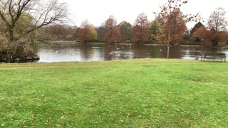 Nature clip of the most beautiful pond in Denmark