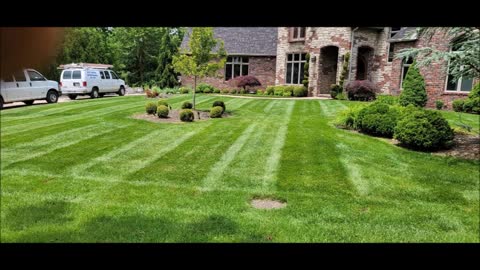 Fine Line Painting - (530) 636-4275