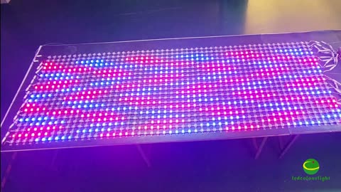 LED Flexible Mesh Screen, Show You the World