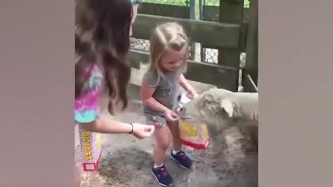 Kids and animals Funny play