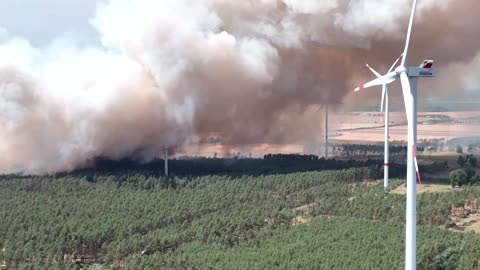 Aerials show wildfire destroying pig farm in Germany