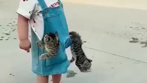 Cute baby with beautiful cats