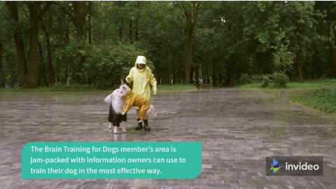 Brain Training for Dogs - Unique Dog Training Course! Easy Sell!