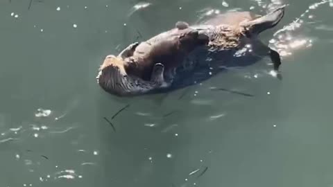 Mom and baby having a swim