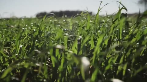 Uruguay: Feel Nature (1 min)