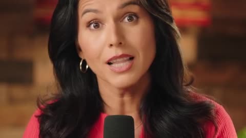 Tulsi Gabbard: authoritarianism, the use of law enforcement agencies by weaponizing them to go after ordinary citizens as domestic terrorists (2nd Amendment)