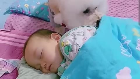 Most heartwarm kind dog 🐶 with baby sleeping