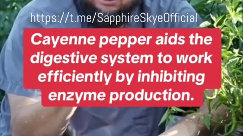 Cayenne Pepper; being well naturally is the new norm