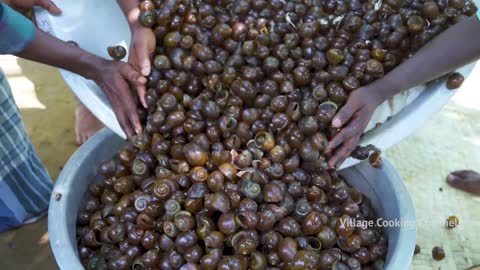 South Indian Healthy "Snail" Recipie