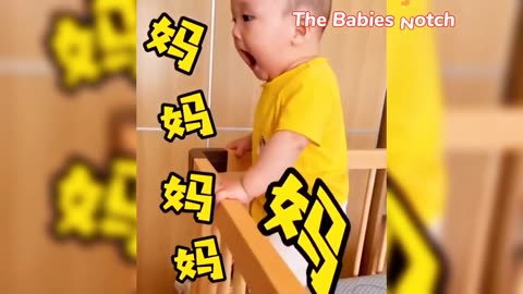 Funny Baby Reactions