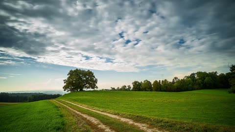 Beautiful tree cloud's and greenry free stock fotage